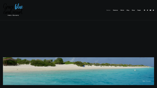 Thumbnail of gracebluecoralresort.com