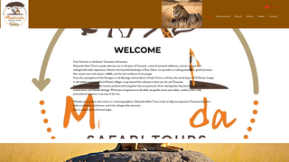Thumbnail of maasindasafaritours.com