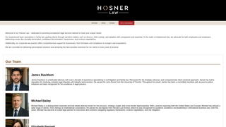 Thumbnail of hosnerlaw.com