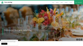 Thumbnail of caracaterng.com