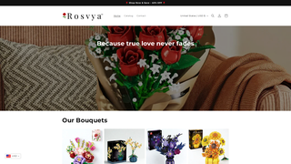 Thumbnail of rosvya.com