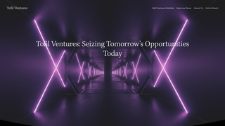 Thumbnail of tofilventures.com