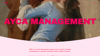 Thumbnail of aycamgmt.com