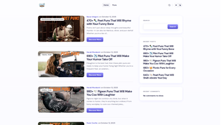 Thumbnail of punsarena.com