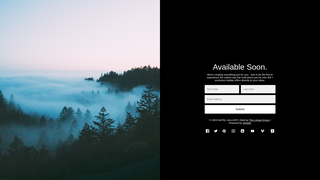 Thumbnail of natrlgallery.com