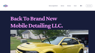 Thumbnail of backtobrandnewdetailing.com