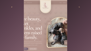 Screenshot of baredezyne.com