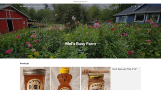 website thumbnail