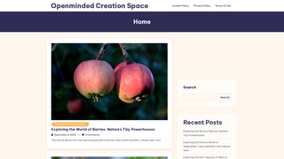 Thumbnail of openmindedcreationspace.com