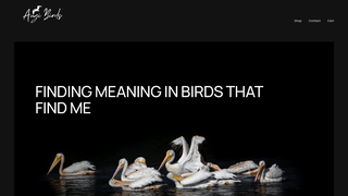 Thumbnail of augibirds.com