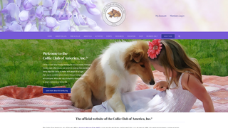 Thumbnail of thecollieclub.org