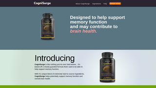 Thumbnail of cognisurgelab.com