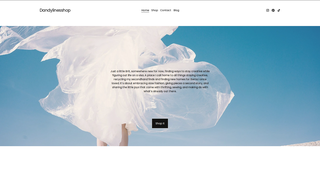 Thumbnail of dandylinesshop.com