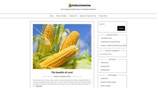 Thumbnail of puddleshadow.org