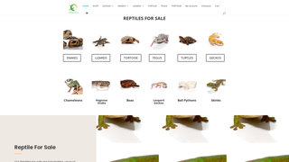Thumbnail of thereptilesshop.com