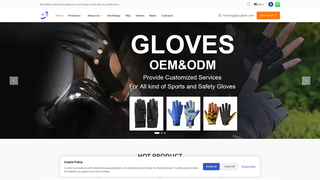 Thumbnail of qy-glove.com