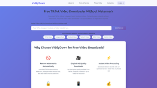 Thumbnail of viddydown.com