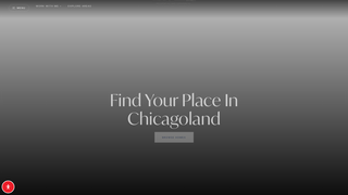 Screenshot of alexnerichicago.com