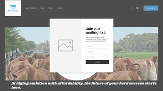 Thumbnail of beefmastermarketplace.com