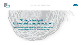 Thumbnail of nestgroupstrategy.com