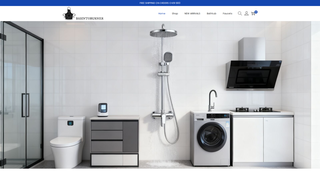 Thumbnail of basintoburner.com