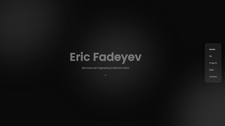 Thumbnail of ericfadeyev.com