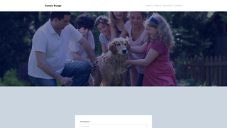 Thumbnail of burge-consulting-group.com