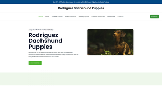 Thumbnail of rodriguezdachshundpuppies.com