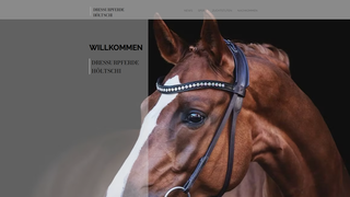 Thumbnail of dressurpferde-hoeltschi.com