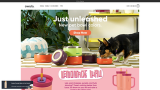 Thumbnail of myowalabottle.com