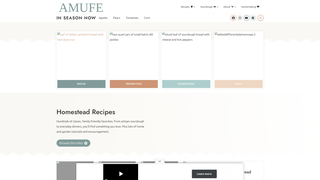 Thumbnail of amufe.com
