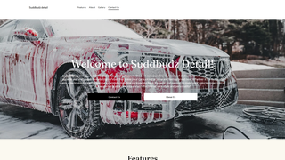 Thumbnail of suddbudzdetail.com