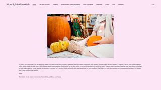 Thumbnail of momandminiessentials.com
