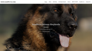 Thumbnail of sandferra.com