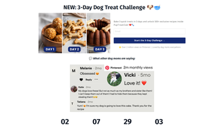 Thumbnail of puptreatclub.com