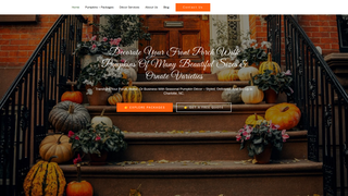 Thumbnail of pumpkinporchdecorating.com
