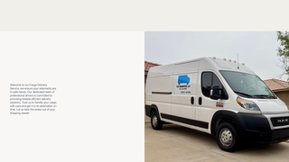 Thumbnail of djztransport.com
