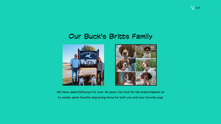 Thumbnail of bucksbritts.com