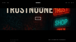 Thumbnail of trustnoone716.com