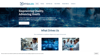Thumbnail of afriqalabs.com