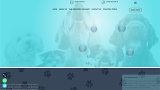 Thumbnail of pawfectionistgrooming.com