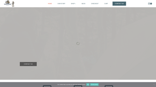 Thumbnail of tristontours.com