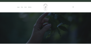 Thumbnail of threadsandivy.com