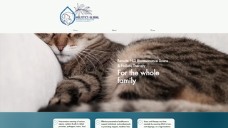 Thumbnail of holisticsglobal.com