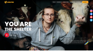 Thumbnail of ushelter.com