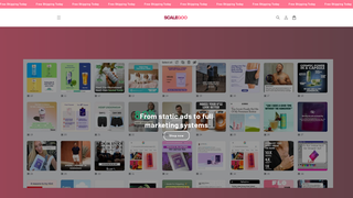 Thumbnail of scalegoo.com