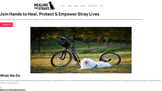 Thumbnail of healingthestrays.org