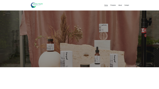 Thumbnail of rashidtraders.com