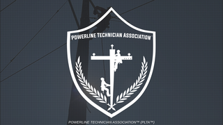 Thumbnail of pltassociation.org