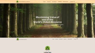 Thumbnail of ecoforestagroup.com